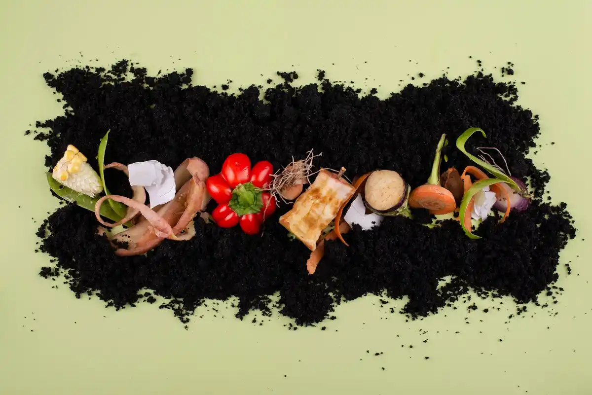 organic compost garden Netherlands