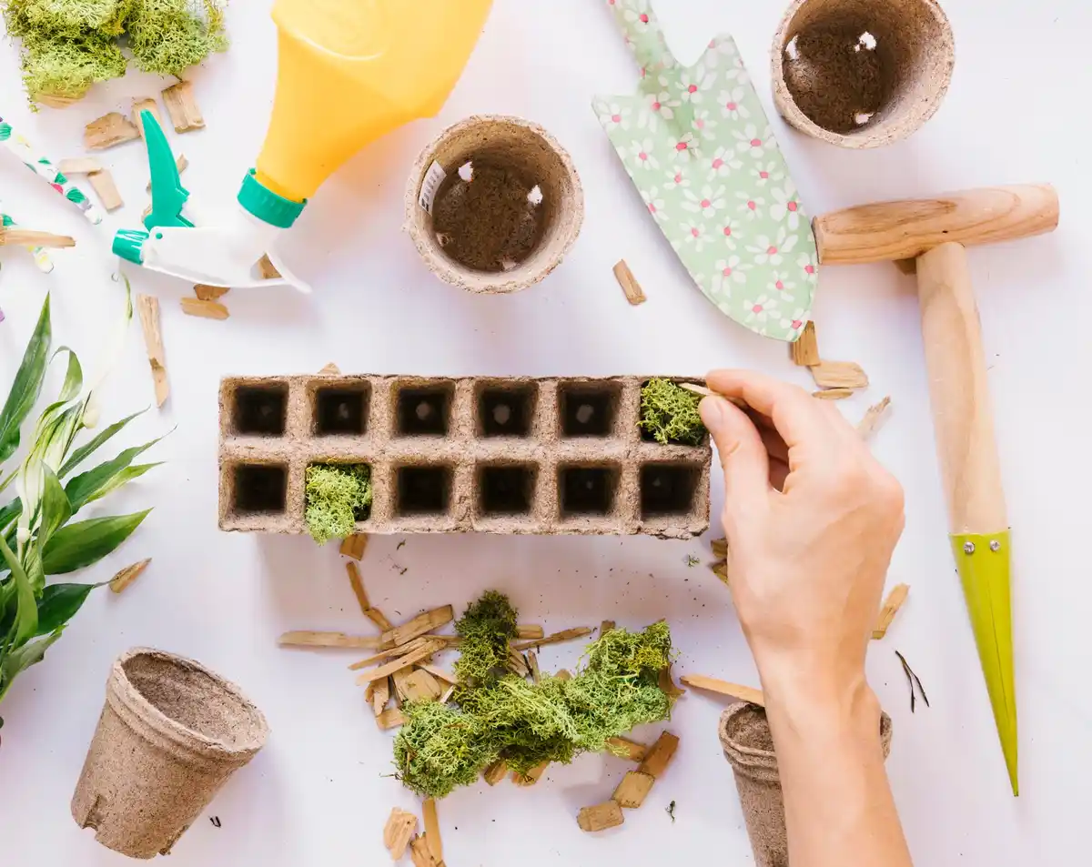 vegetable gardening seeds planting