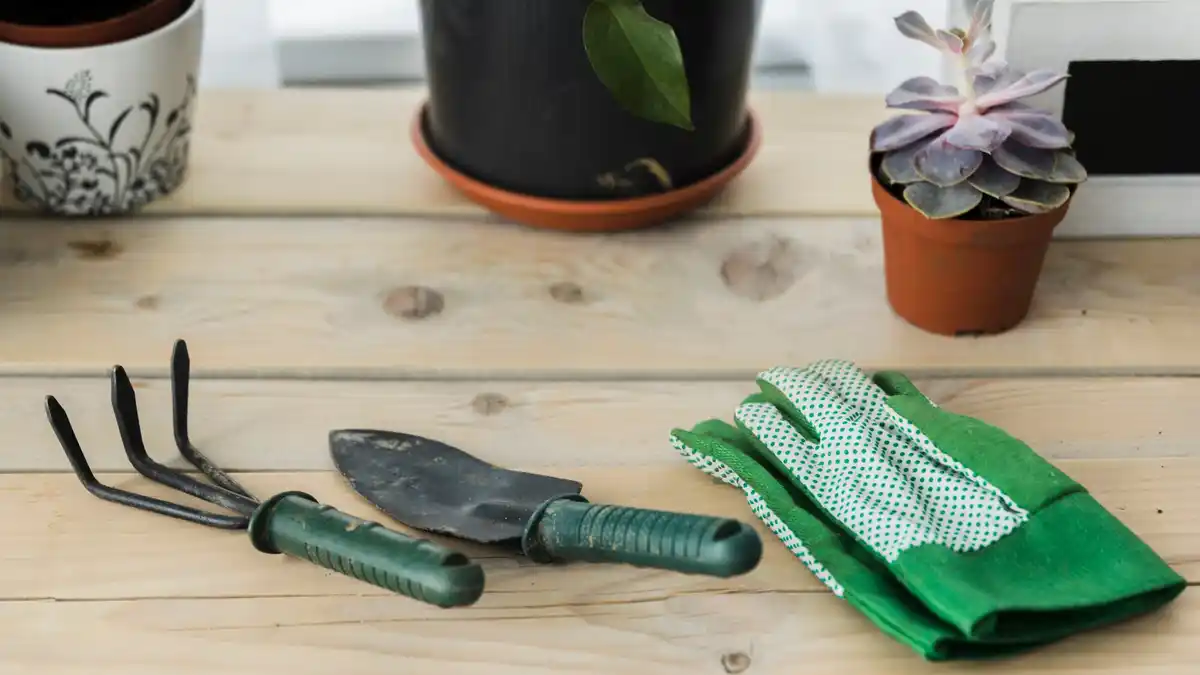 essential Dutch gardening tools