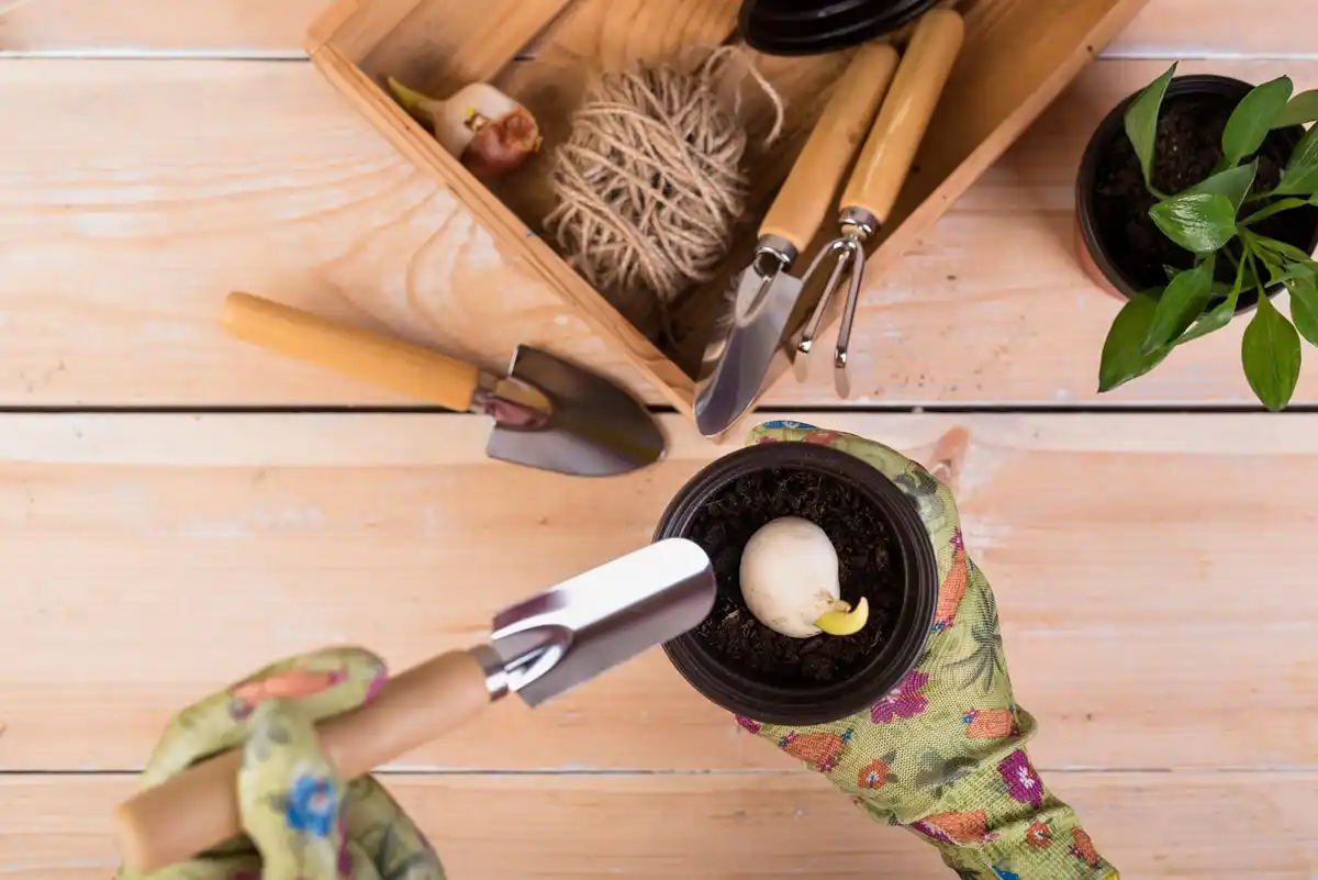 Dutch garden tools in use