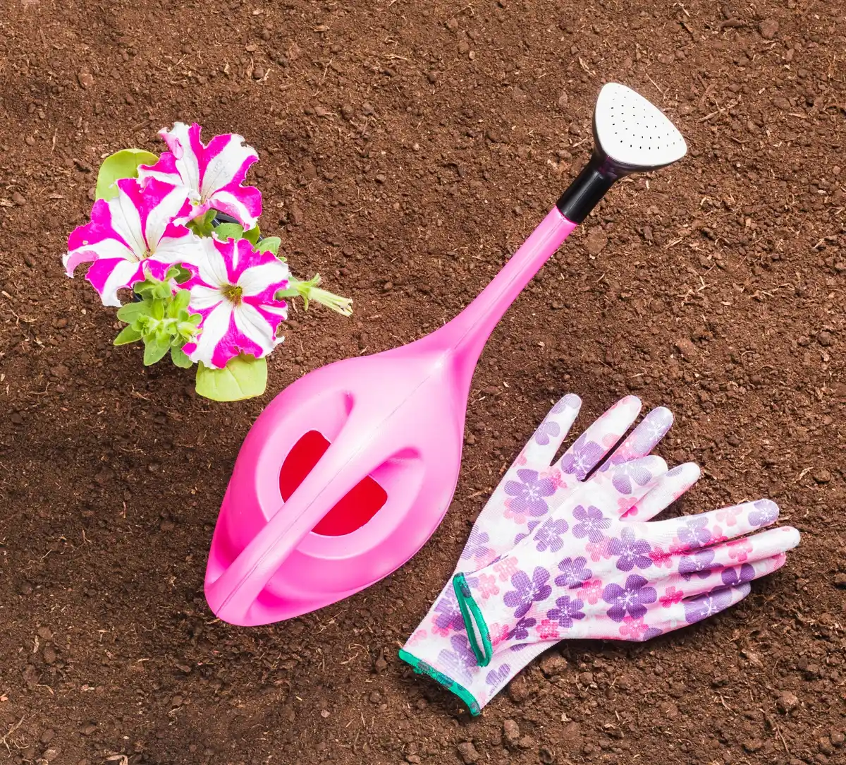 ergonomic garden tools netherlands
