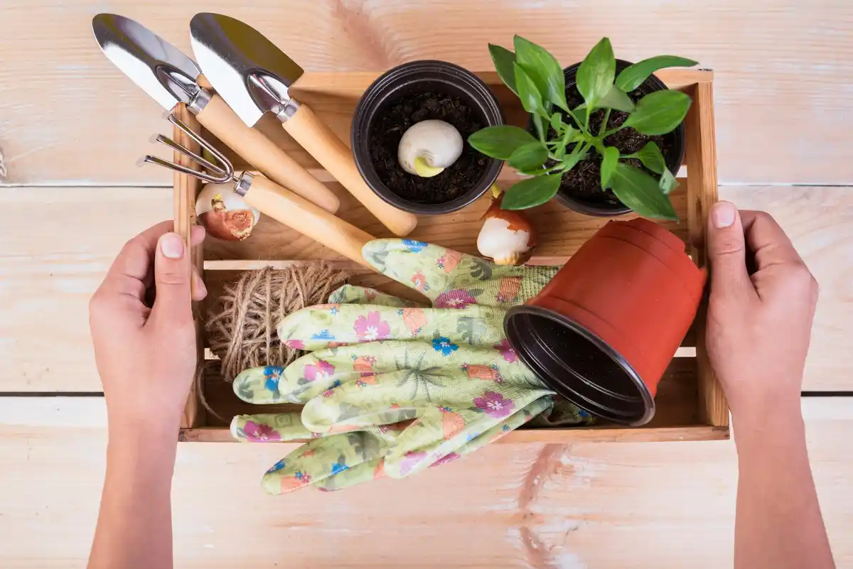 modern ergonomic garden tools netherlands