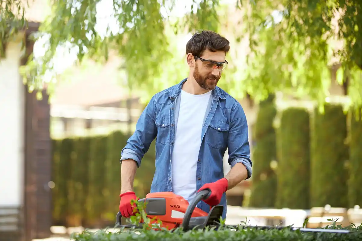 affordable cordless garden tools Netherlands summer