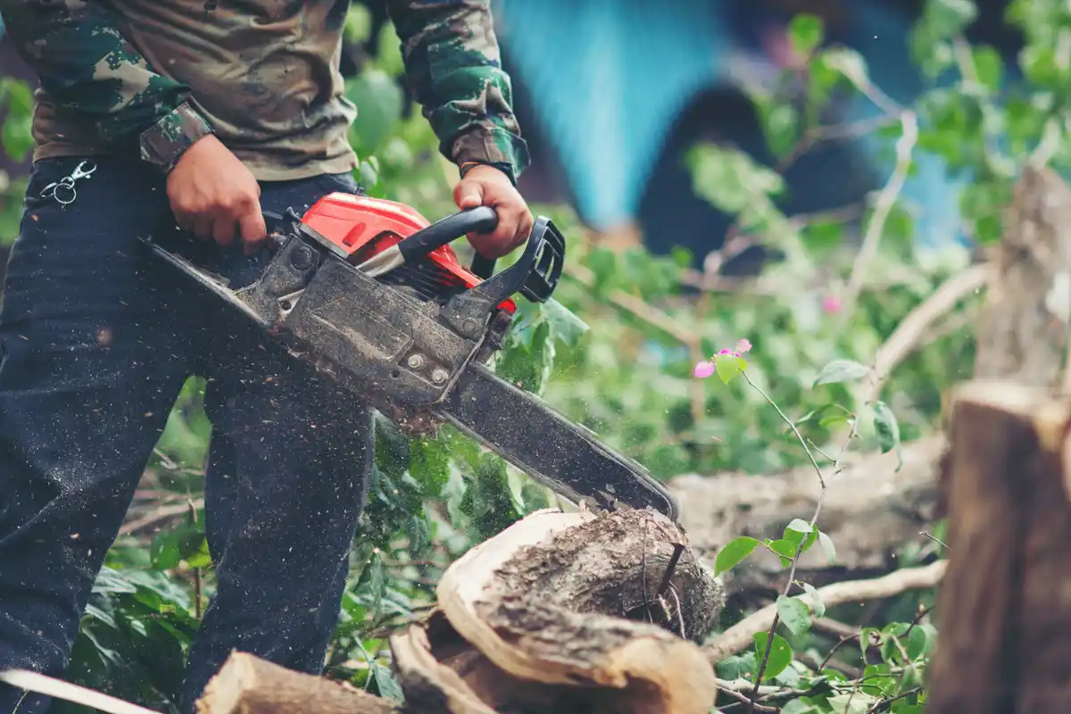 budget cordless garden tools trimming bushes Netherlands