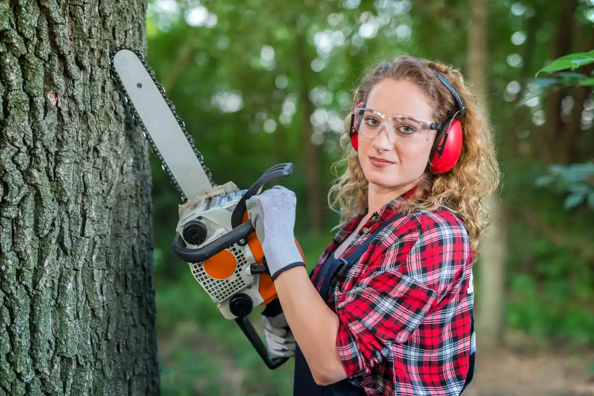 garden power tools buying guide