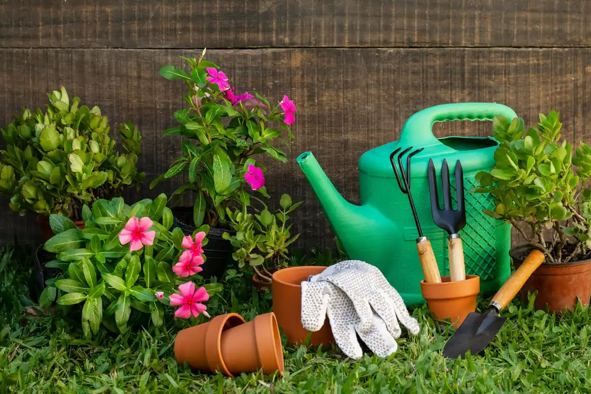 garden equipment tools in green backyard