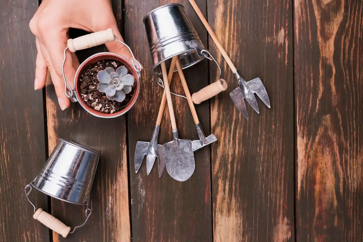 garden tools rusty and dirty on wooden table