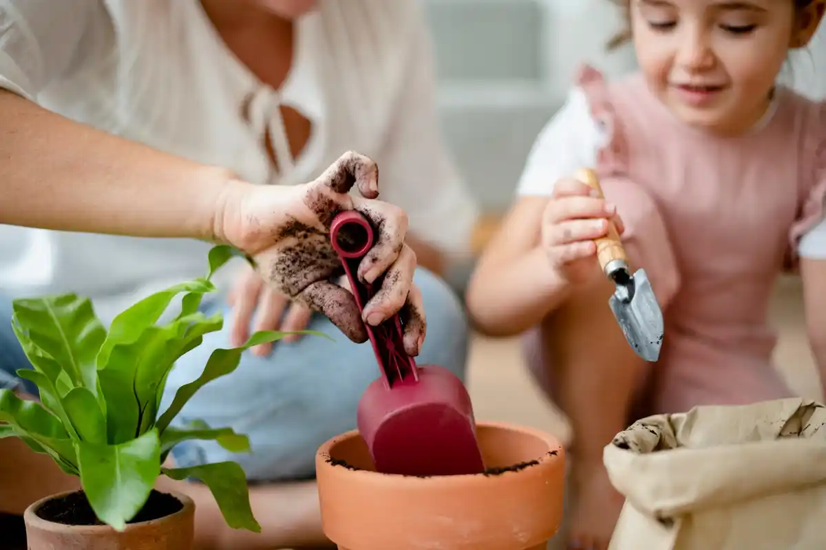 easy home vegetable garden beginners