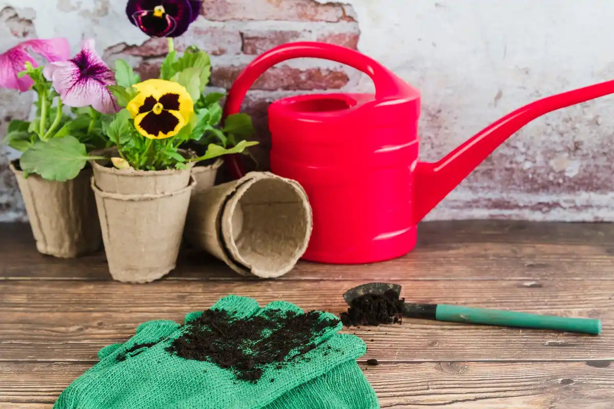 organic kitchen garden soil compost