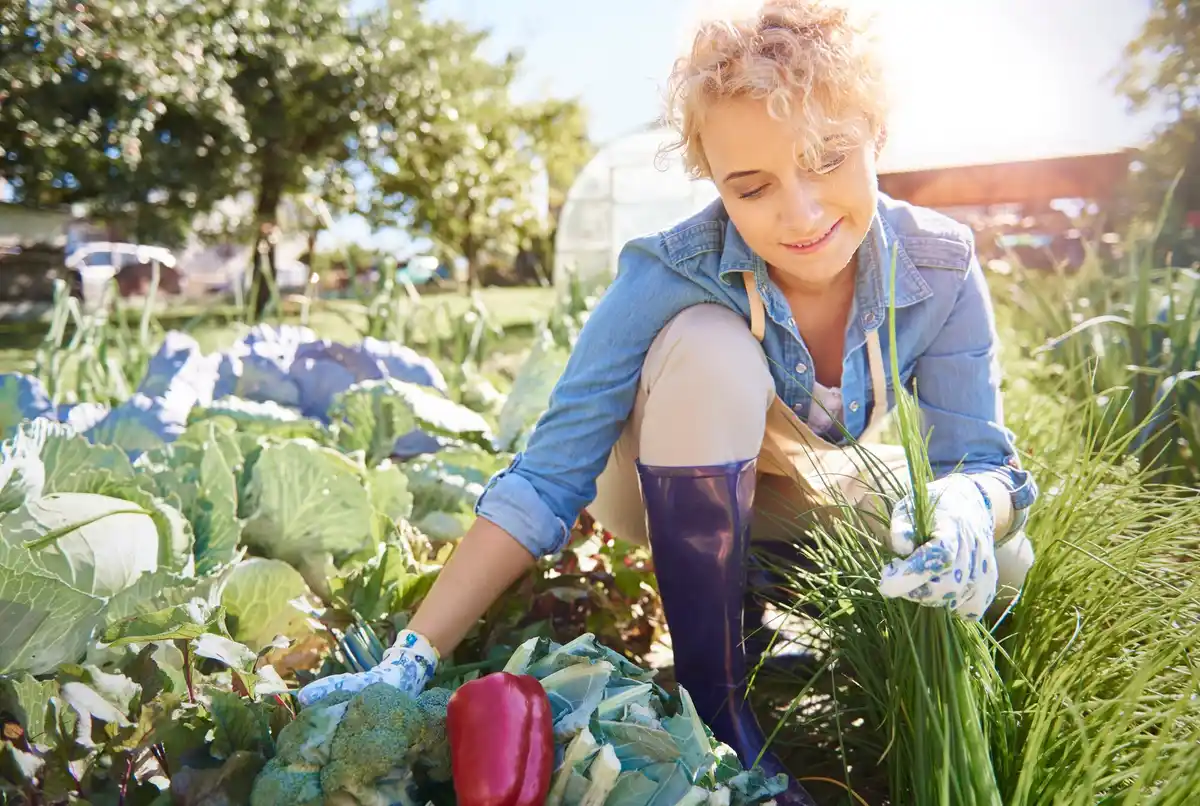 companion planting healthy vegetable garden