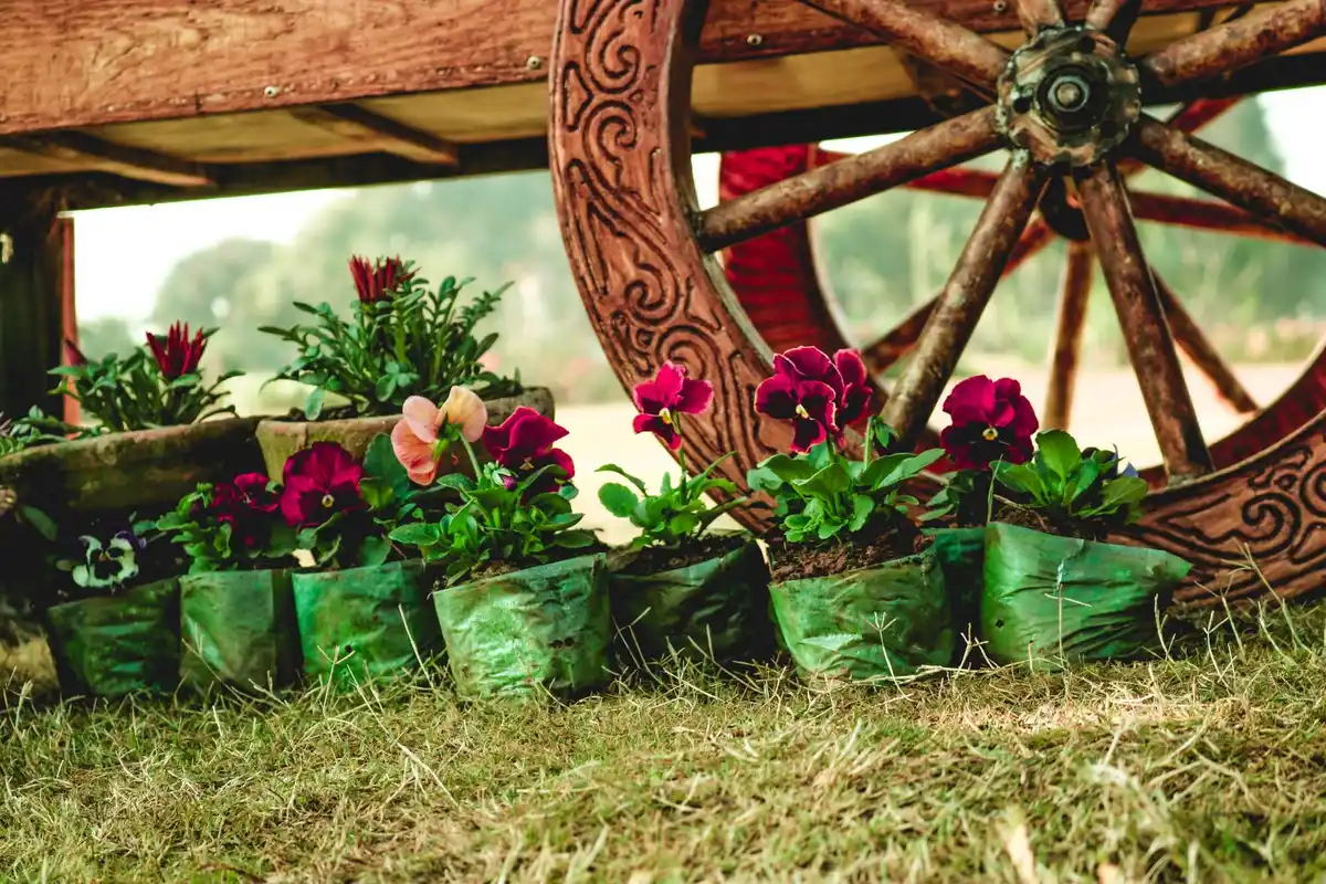 5 slimme tricks voor een verrassend mooie tuin in Nederland