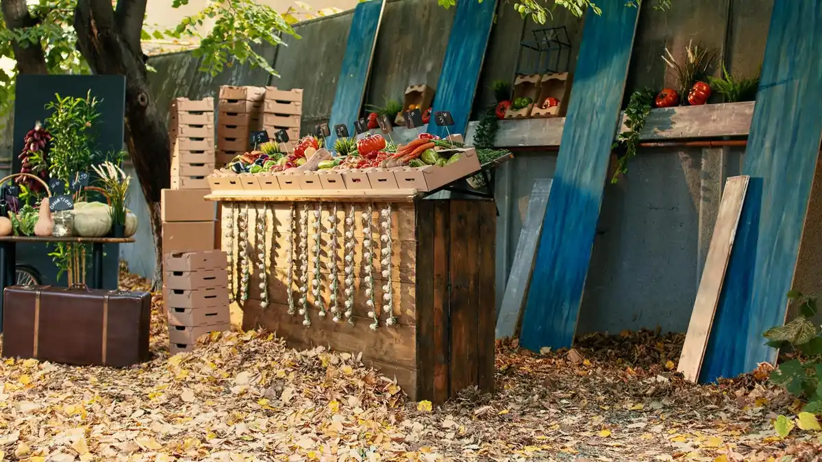 small vegetable garden raised beds Netherlands