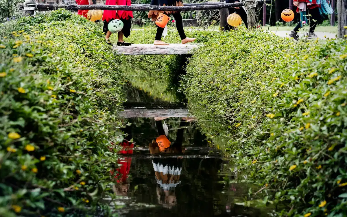 Zo voorkom je deze fout bij het inrichten van je tuin