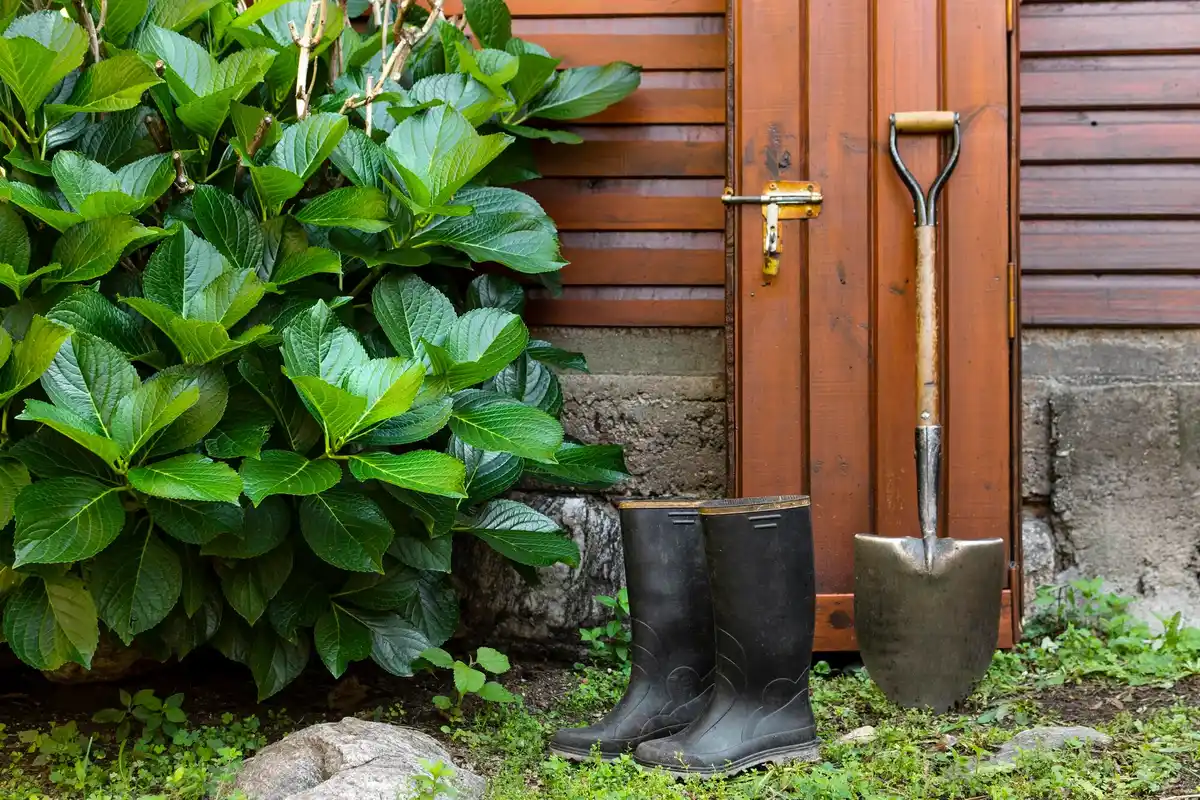 automatic garden sprinkler system in a Dutch backyard