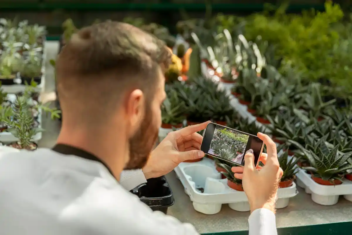 garden automatic watering system smart home