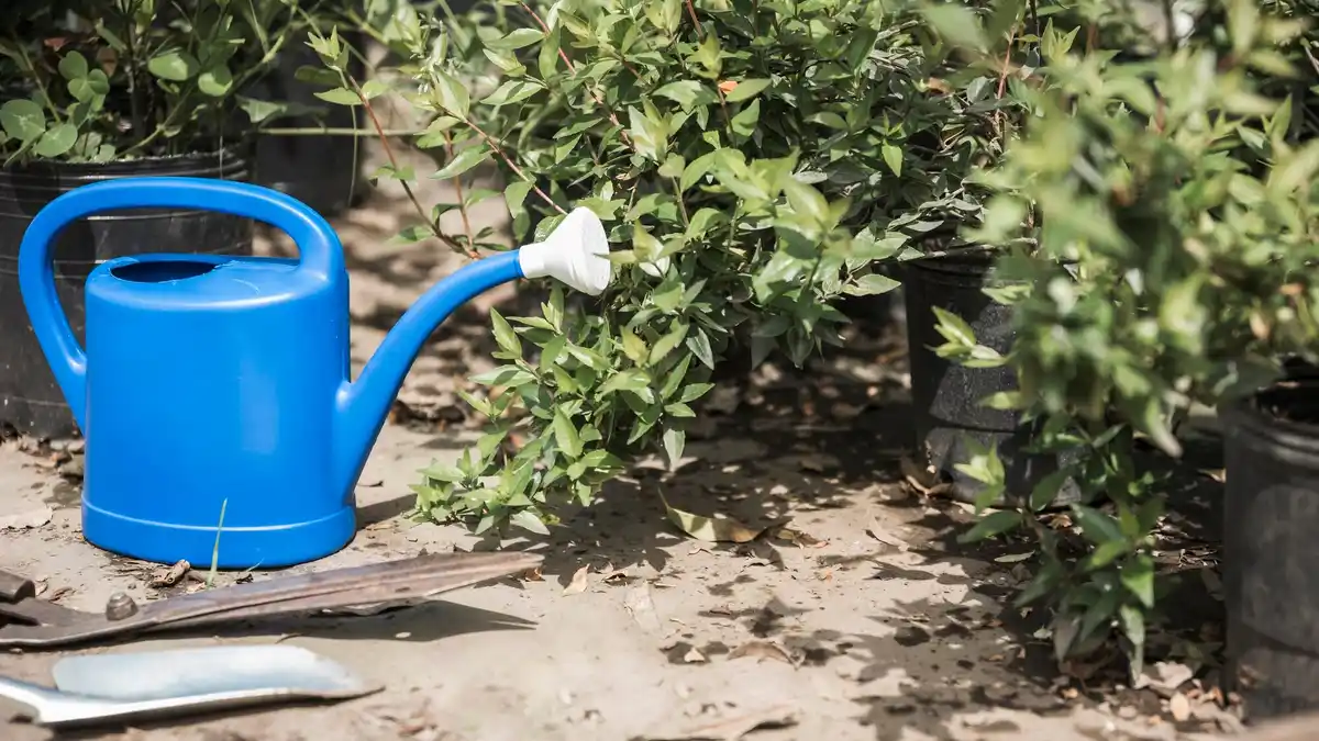 automatic garden watering system Netherlands