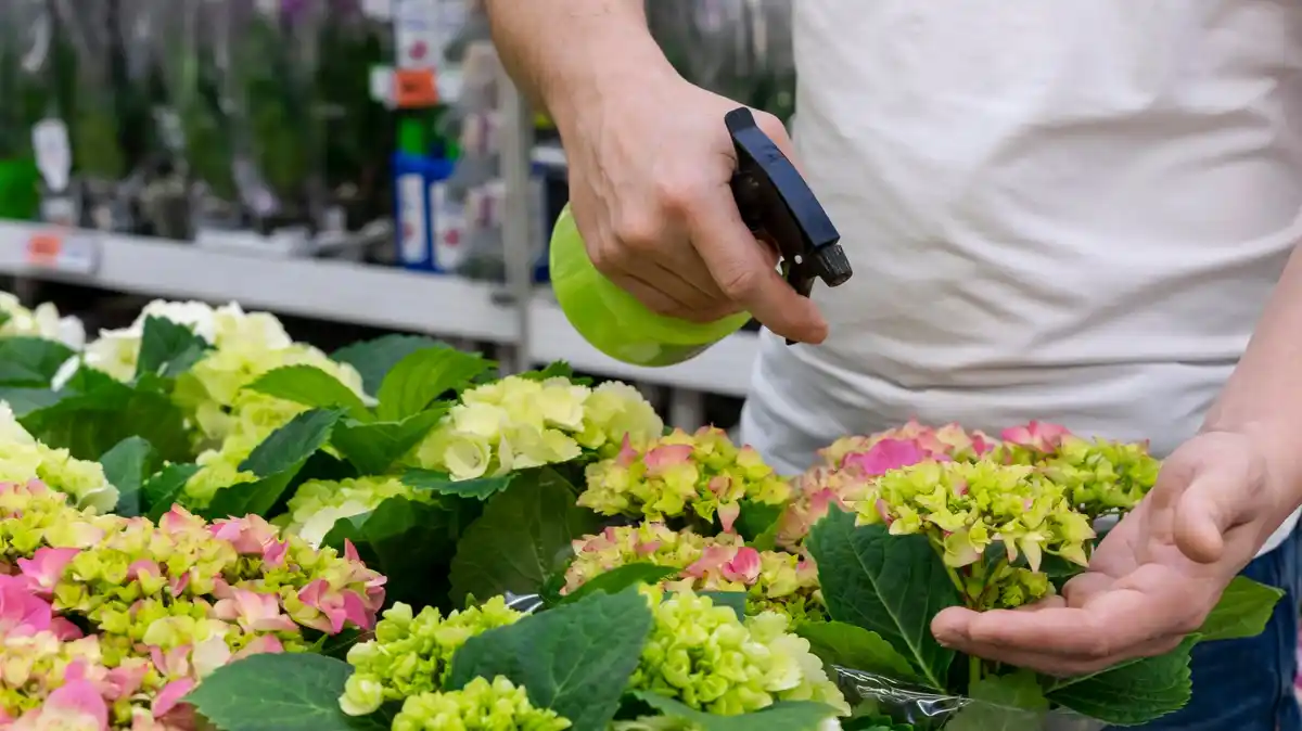 garden irrigation system maintenance tips Netherlands