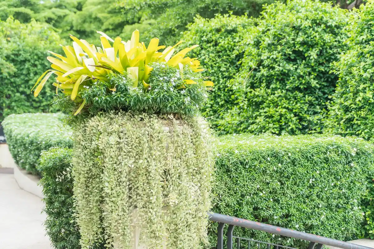 De beste ideeën voor tuinontwerp die jouw buren jaloers maken