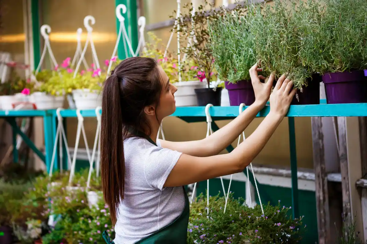 small urban vegetable garden balcony vertical plants harvest