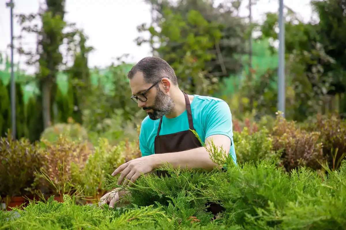 garden soil check gardener