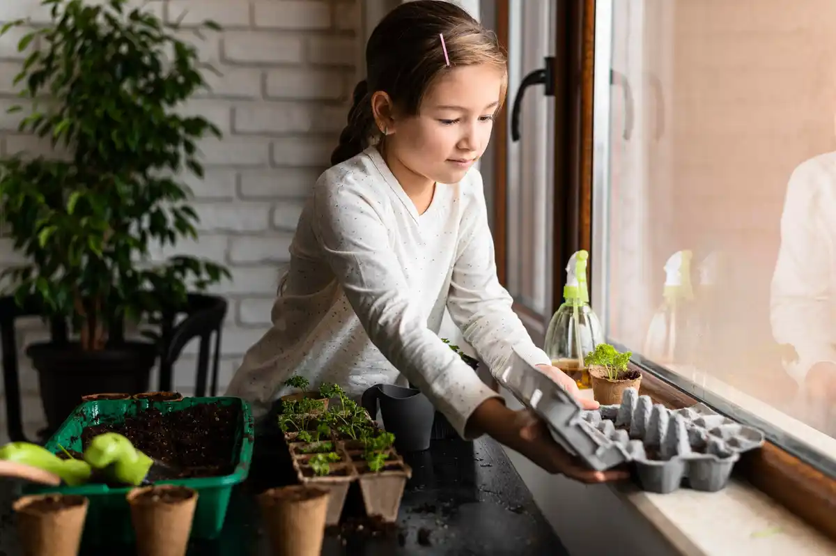 urban balcony vegetable container garden