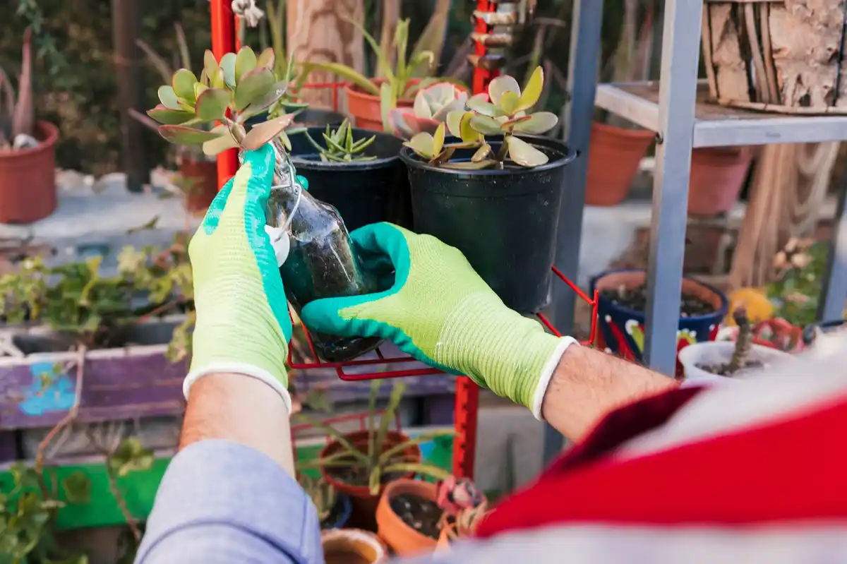 Hoe herken je planten ziekten vroeg? 7 tips voor een gezonde tuin