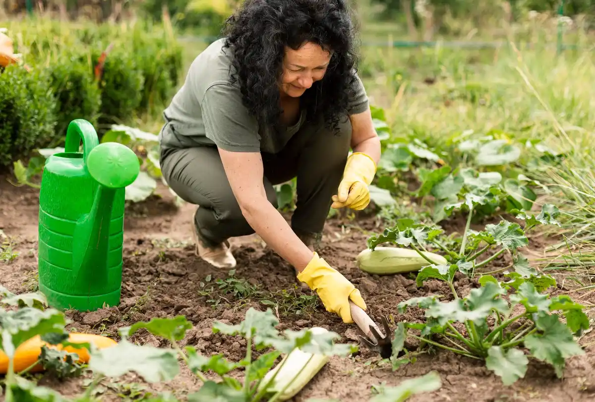 Zo hou je je groenteplant gezond: beste anti-plagen tricks