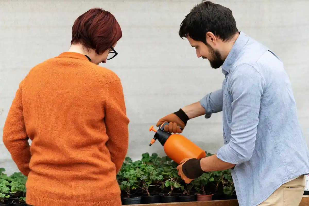 Sla jij deze plantenziekten over? Zo voorkom je dat jouw oogst mislukt