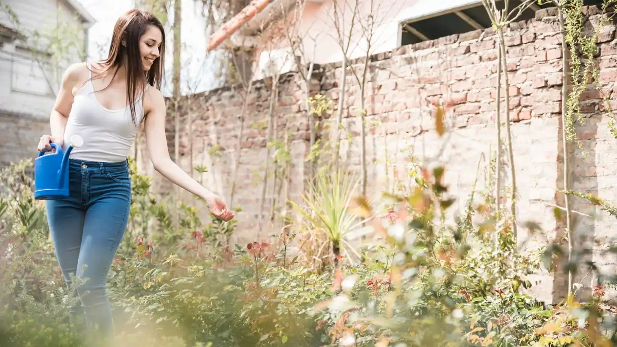 Herbs and flowers repelling insects in organic Dutch garden