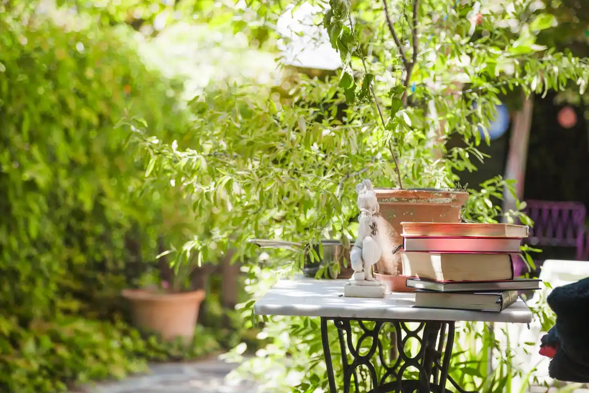 Dutch backyard garden layout sunny day