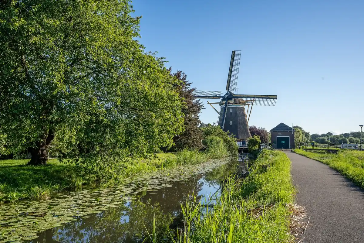 rainwater collection garden netherlands