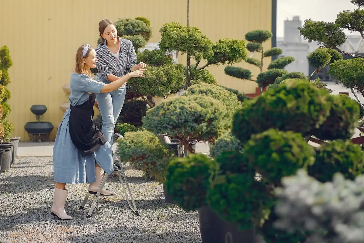 De geheimen van een perfecte tuinindeling: zo begint je droomtuin
