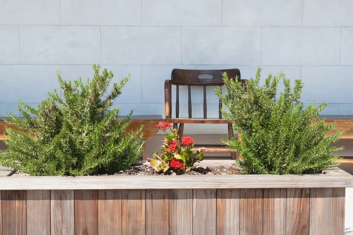 Zo haal je het maximale uit een kleine tuin: praktische designtips